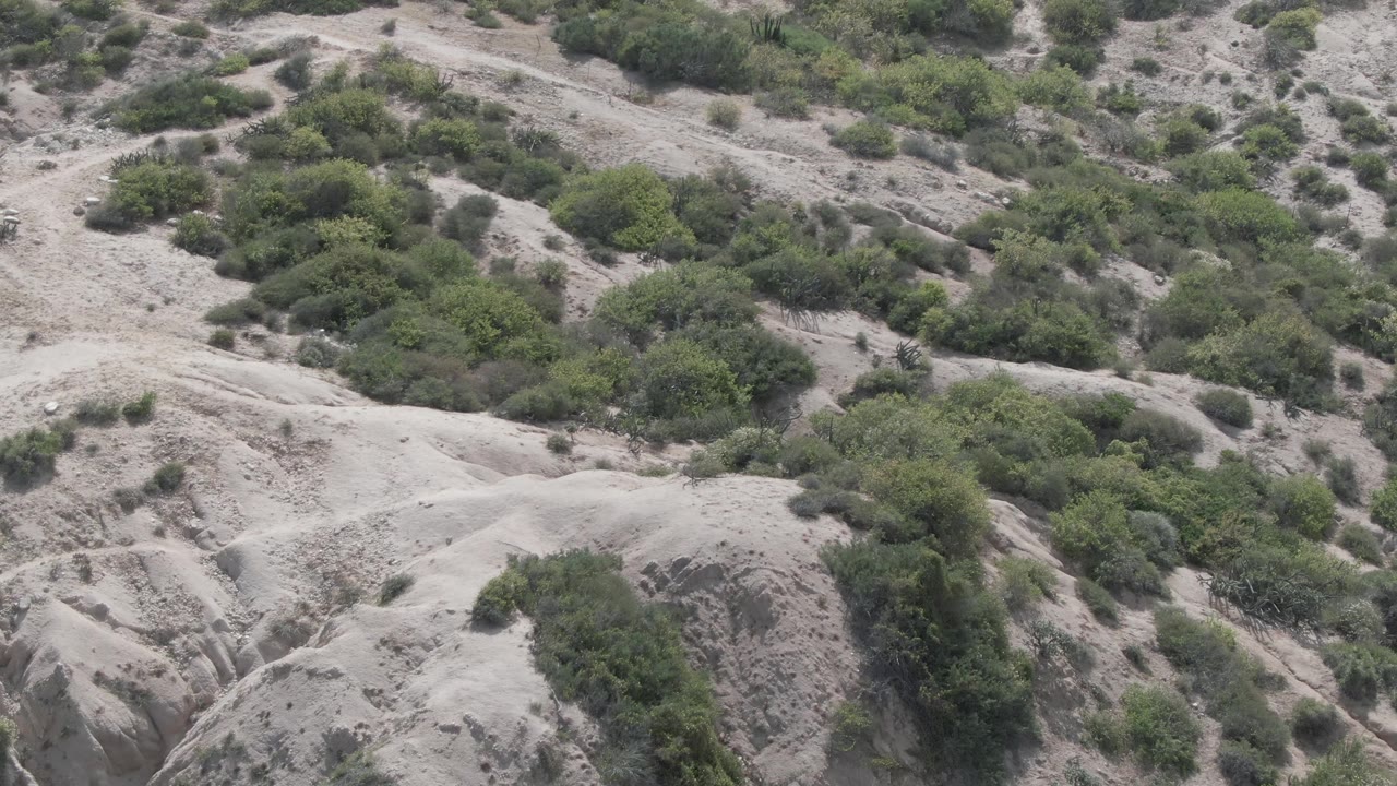 Aerial-looking frame over dry Playa El Arbolito Cabo Pulmo terrain, with uneven sandy ridges, shrub clusters, and no visible people.