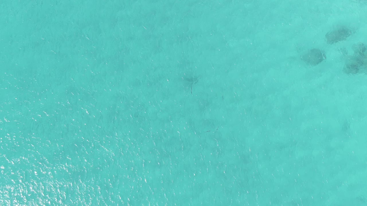 Top-down view of turquoise ocean water at Buzzards Beach East Cape BCS Mexico, with faint dark fish shapes under rippled surface light and no visible people.