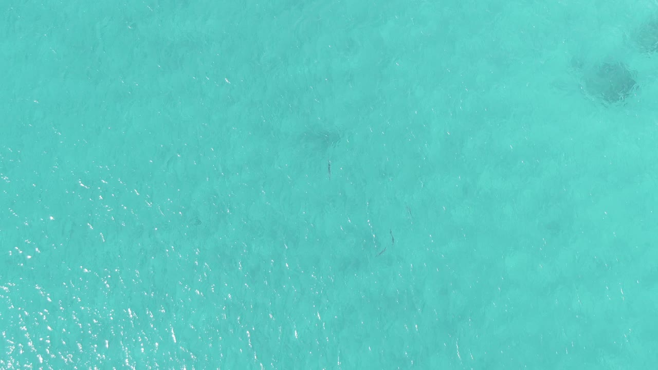 A top-down frame at Buzzards Beach East Cape BCS Mexico shows shallow turquoise ocean with a darker fish shape below the rippled surface and no visible people.