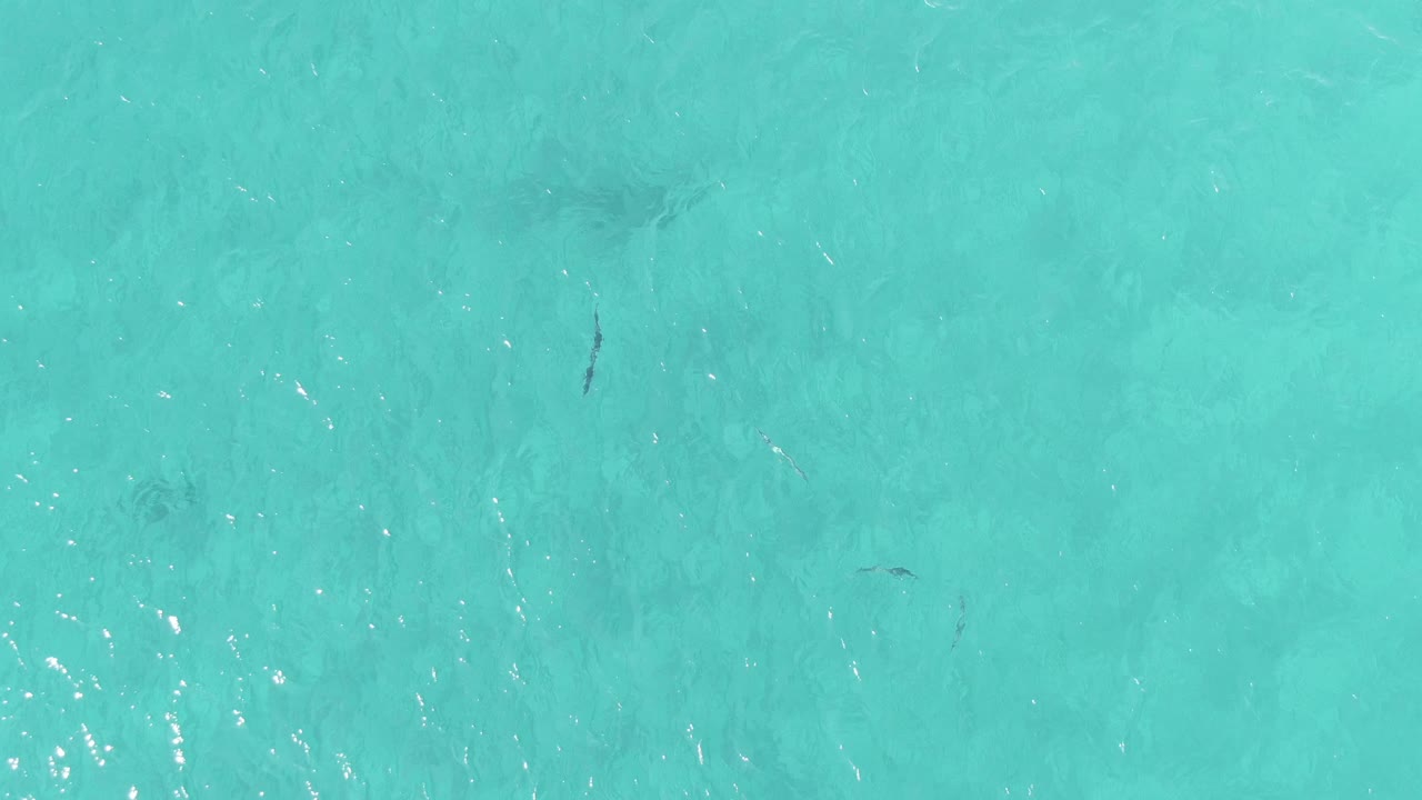 Clear turquoise water at Buzzards Beach East Cape BCS Mexico reveals faint seabed texture, scattered small fish, and no visible people.