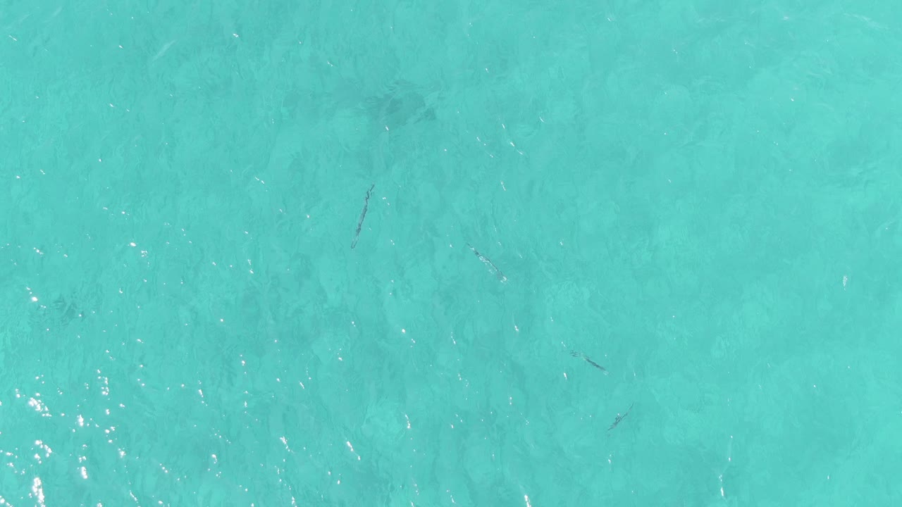 Overhead frame from Buzzards Beach East Cape BCS Mexico with turquoise rippled water, bright sun sparkle, small fish marks, and no visible people.