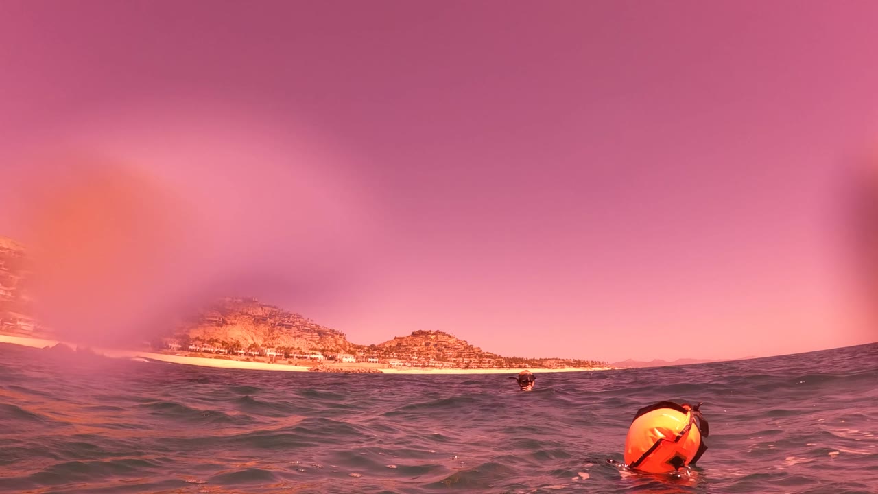 Ocean surface with distant snorkeler and hilly beach coastline.