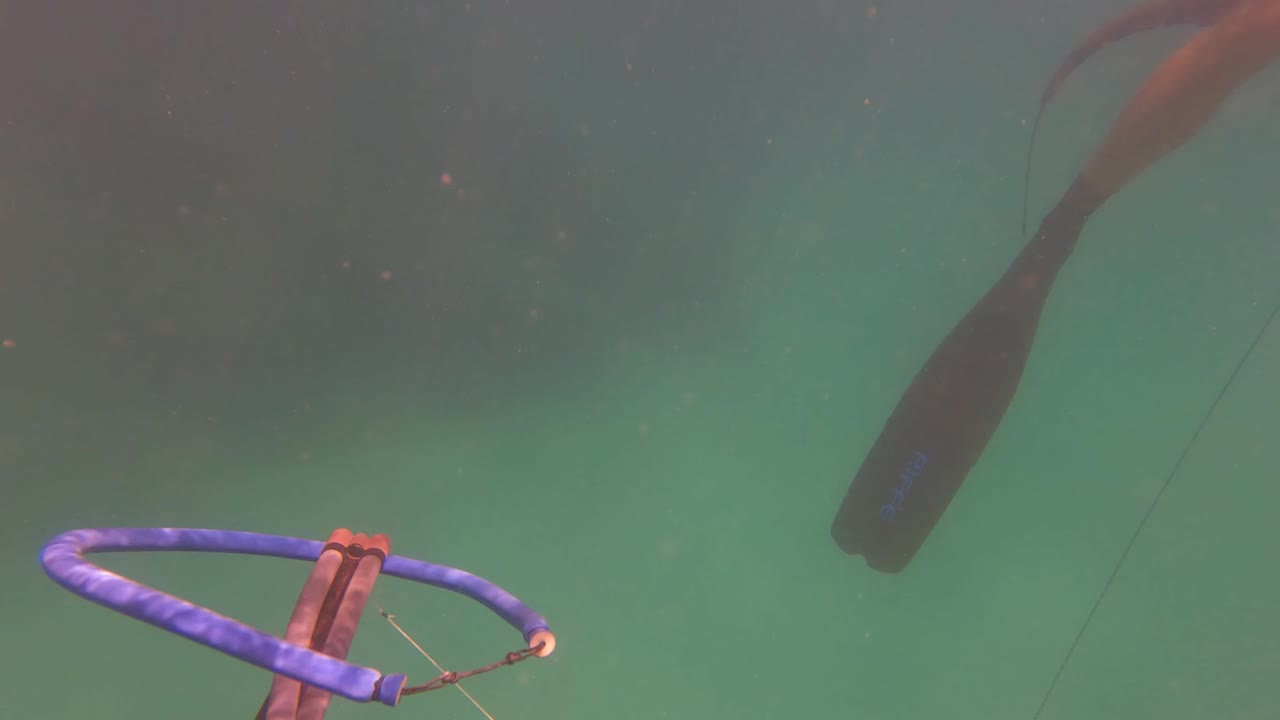 Blue ring and small bottle-like object underwater near the surface.