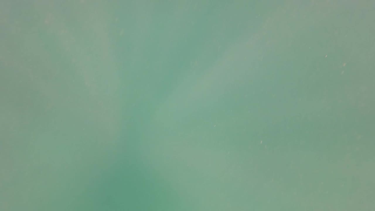 Green underwater frame in San Jose Del Cabo BCS Mexico with soft surface light above and no visible people.