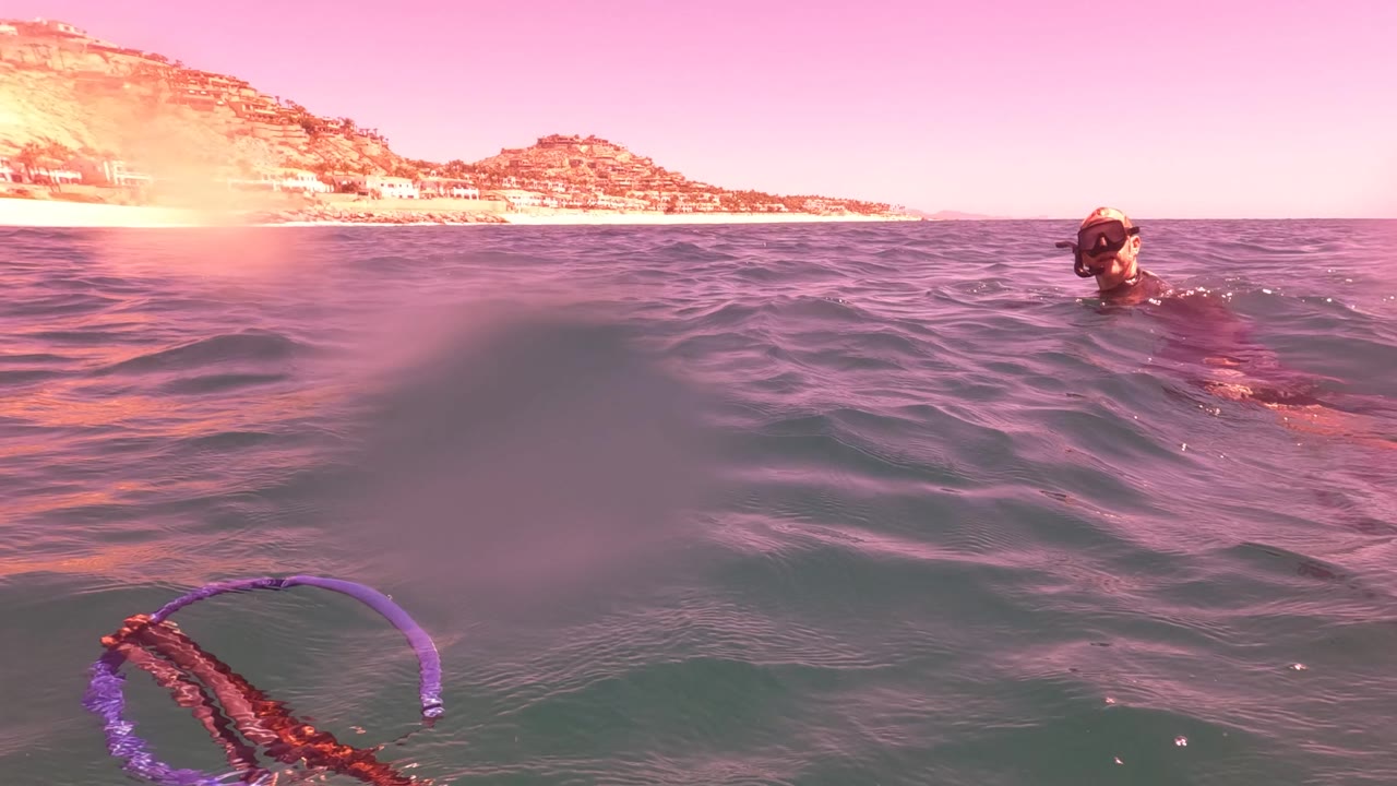 The swimmer appears near the right edge while the foreground water rises in small waves, with the purple ring and red trail partly submerged below the pink-tinted ocean surface in San Jose del Cabo.