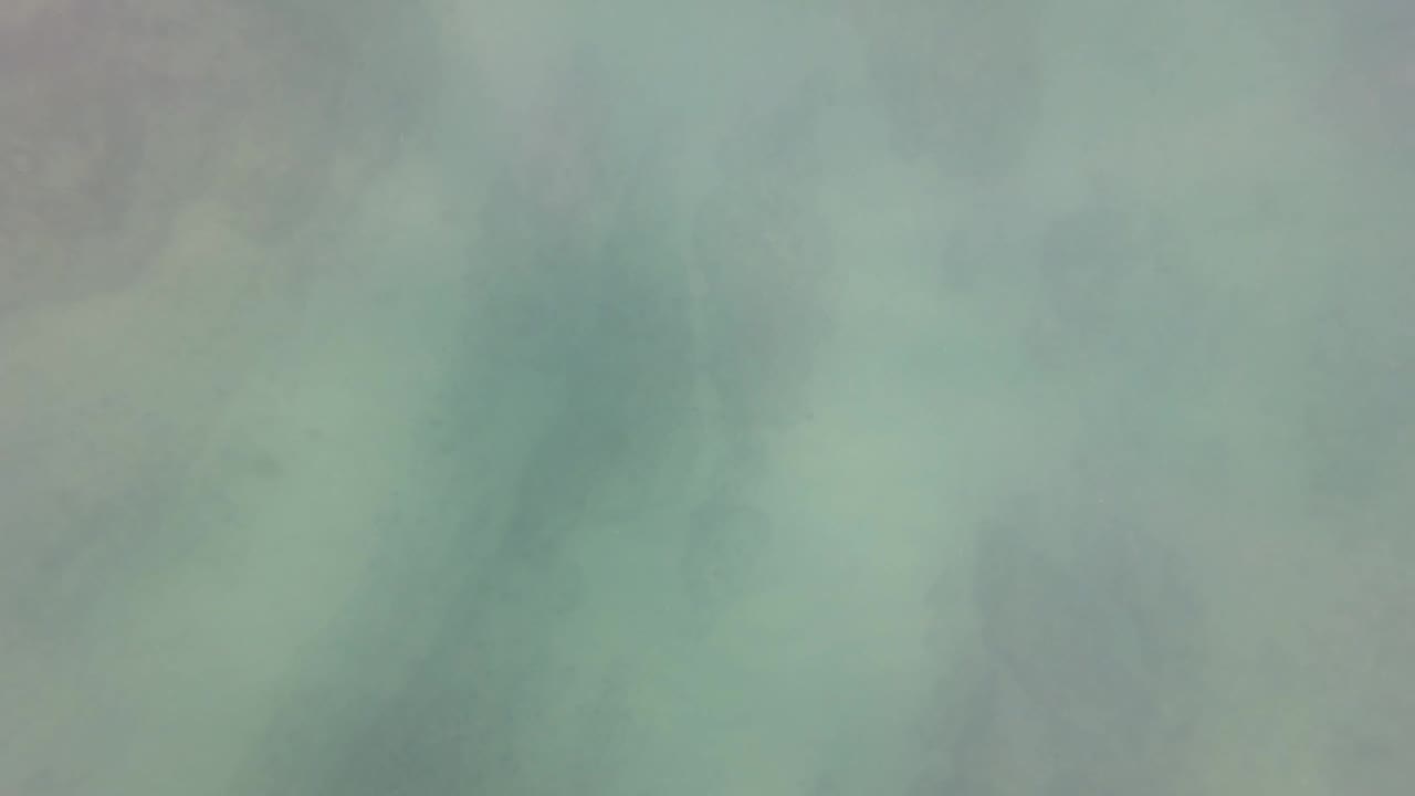 Hazy green underwater frame in San Jose del Cabo BCS Mexico with faint seabed tones and no clear swimmer visible at this moment.