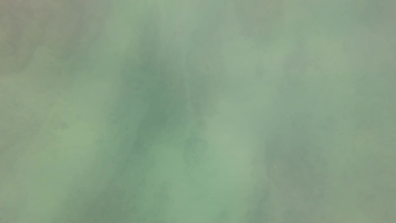 Green underwater view in San Jose del Cabo BCS Mexico with darker seabed patches visible through the cloudy water.
