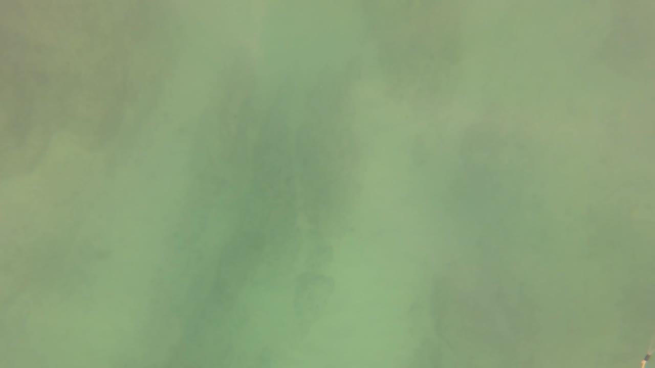Soft green underwater frame in San Jose del Cabo BCS Mexico with blurred seabed coloration and no distinct swimmer visible.