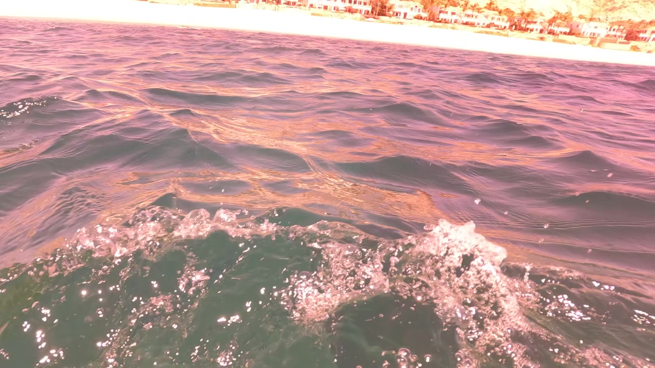 Pink-lit ocean wave with beach and buildings in the background.