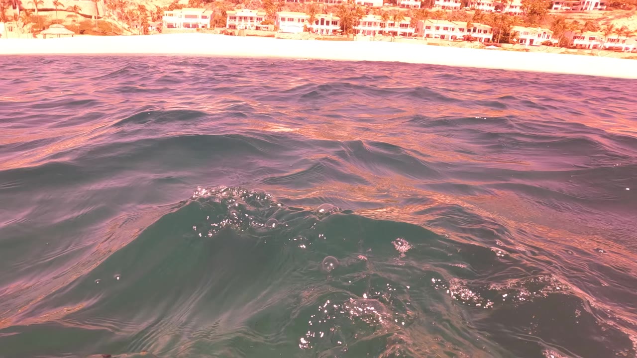 A rounded dark green wave rises in the center under pink light, with the San Jose del Cabo beach and distant buildings running along the upper edge, no visible people.