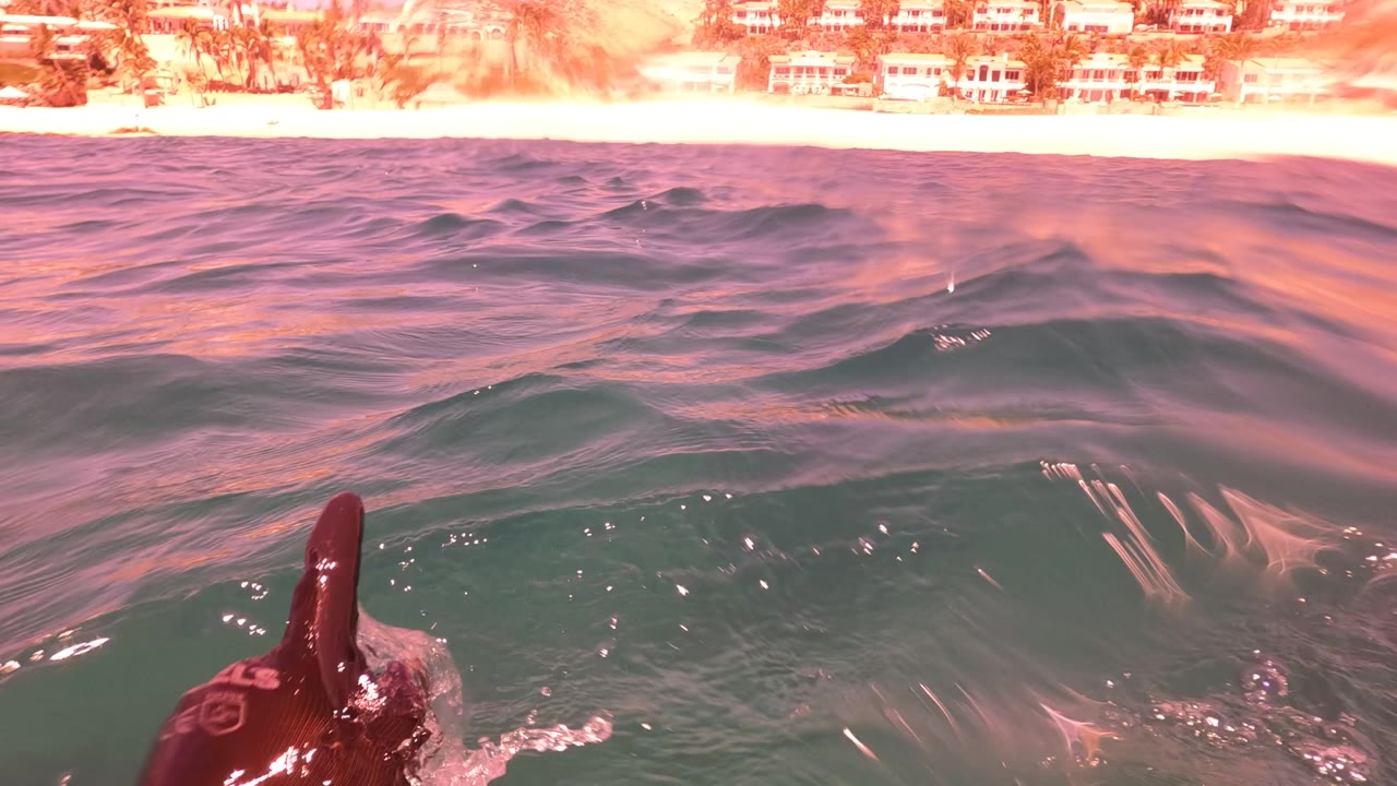 A dark dolphin fin breaks the lower-left edge of the water-level frame while rippled pink and green ocean fills the foreground near San Jose del Cabo, Mexico, no visible people.