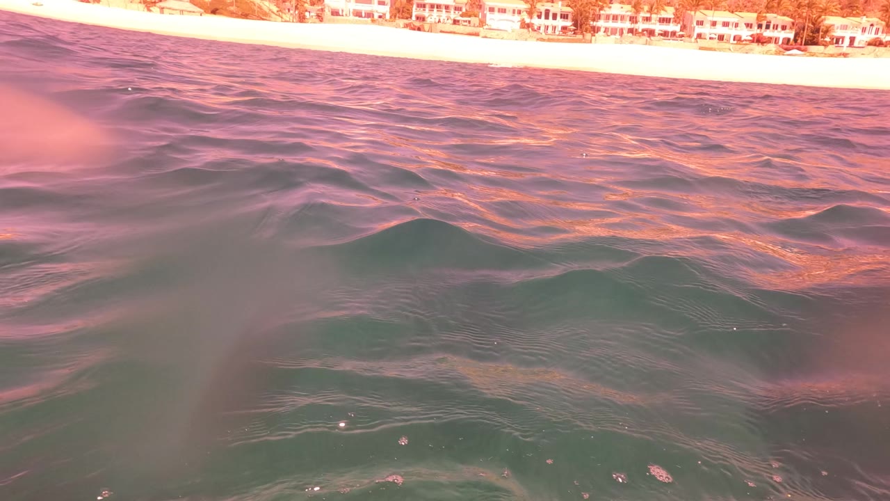 Pink-lit ocean surface with beach and buildings in the distance
