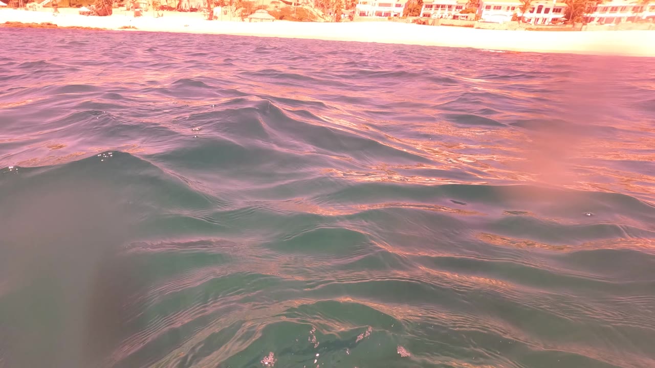Small rolling waves fill the foreground near San Jose del Cabo, Mexico, with warm pink reflections on the water and a thin strip of beach and buildings visible above, no visible people.