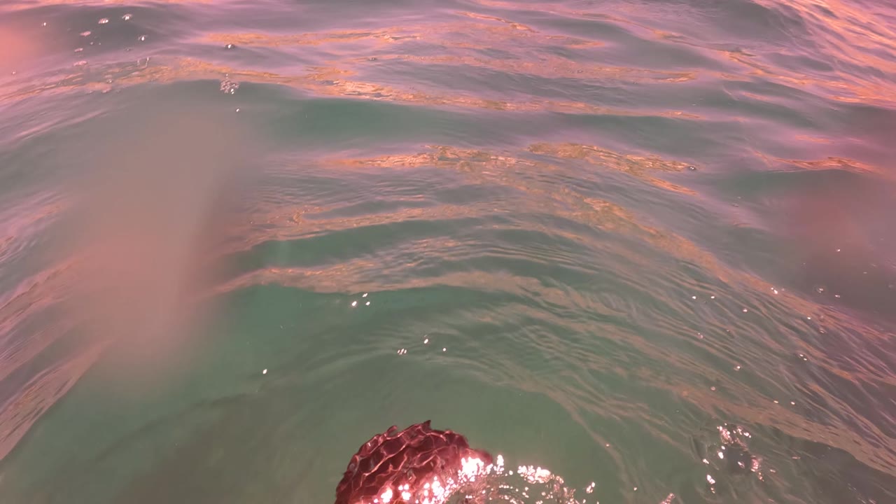 The surface view tightens on rippled green and pink water near San Jose del Cabo, Mexico, with a dark wet object at the lower right edge and no visible people.