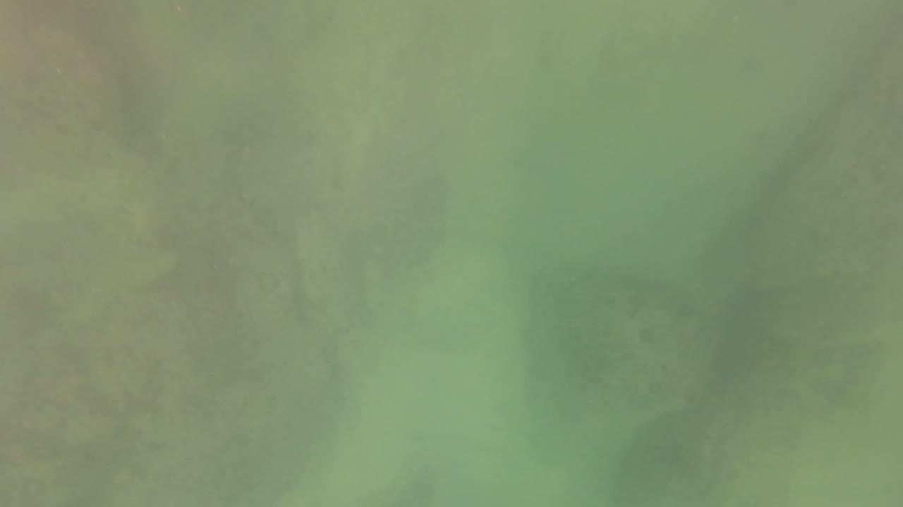 Underwater in San Jose del Cabo, Mexico, cloudy green water covers a pale sandy seabed with faint darker rock patches and no visible people.
