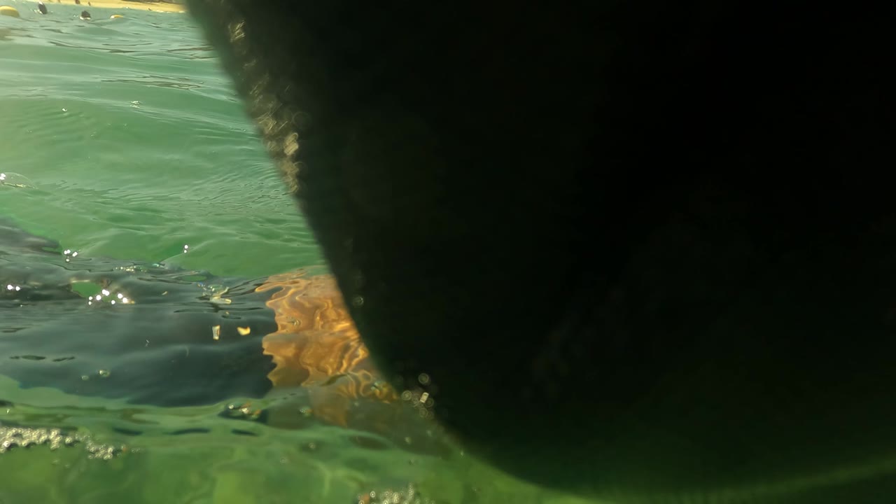 San Jose del Cabo, Mexico waterline frame with green ocean surface, a dark close foreground obstruction, and a partial swimmer arm at the right edge.