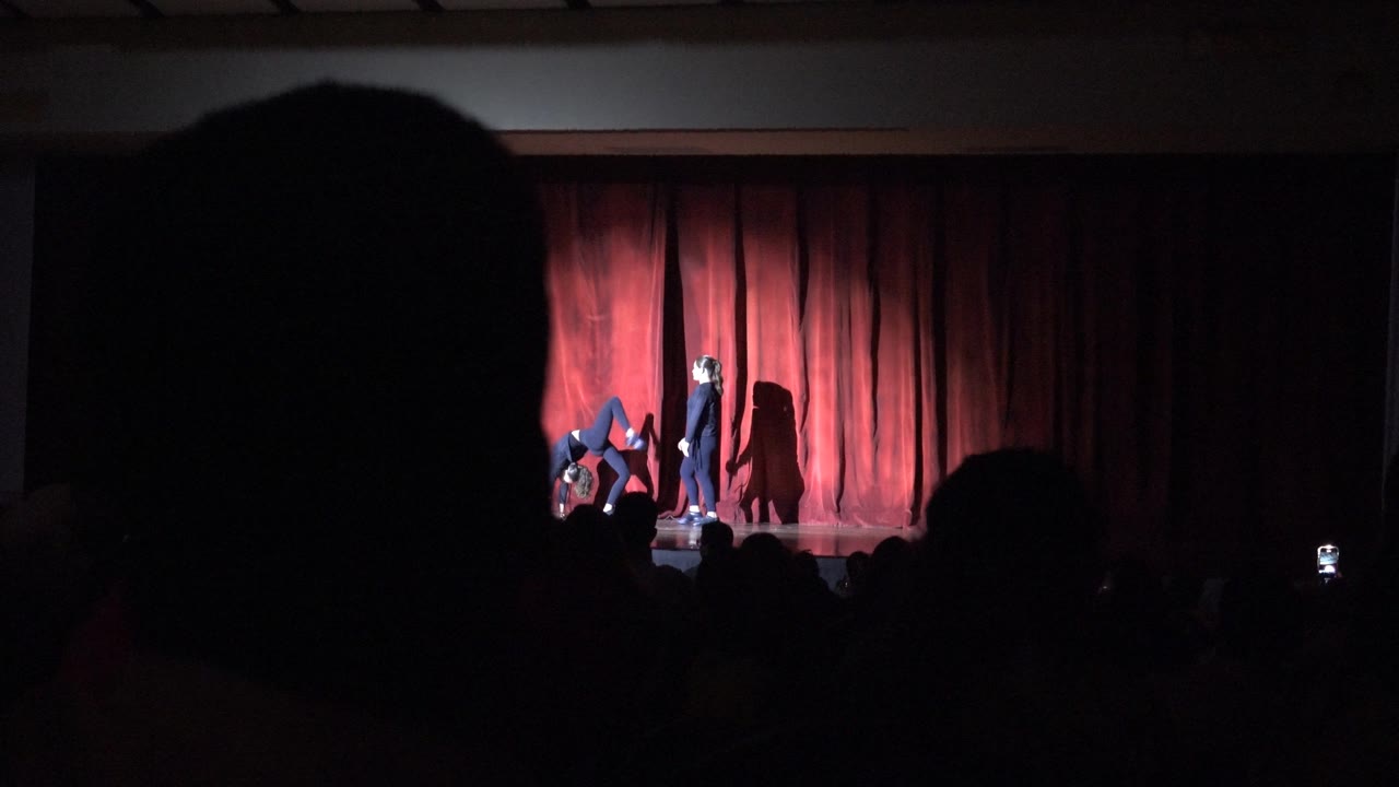 A large audience silhouette partially blocks two acrobats performing on a red-curtain stage.