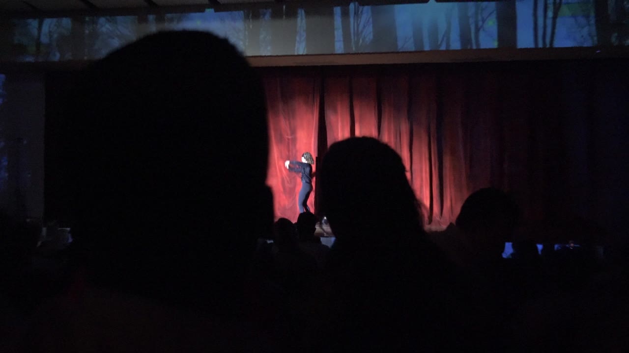 In San Jose Del Cabo BCS Mexico, dark audience silhouettes face a distant stage where one performer stands near a red curtain and forest-themed backdrop.