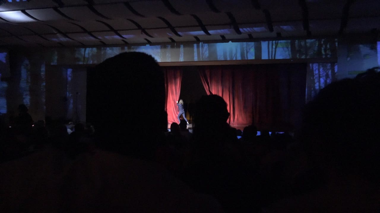 A central audience silhouette partially blocks the view while a performer remains visible near the red curtain and dark forest backdrop in San Jose Del Cabo BCS Mexico.