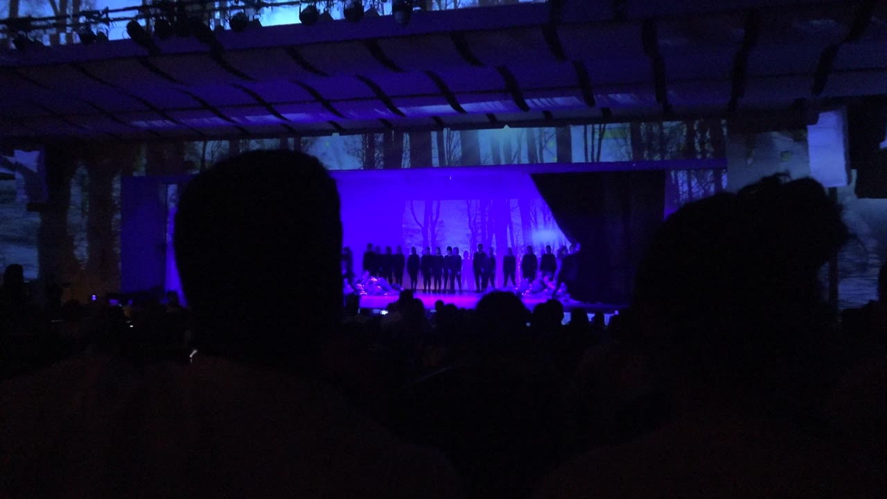 Wide view in San Jose Del Cabo BCS Mexico showing audience silhouettes facing a purple-lit stage with an ensemble lined up before a forest backdrop.