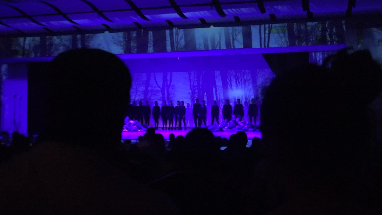 A large foreground audience silhouette partially blocks the purple-lit stage in San Jose Del Cabo BCS Mexico, with performers still visible along the backdrop.