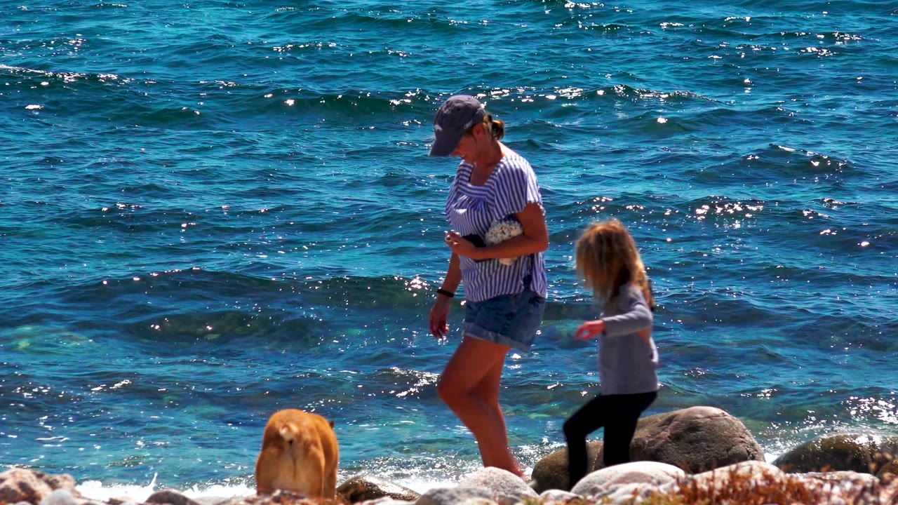 At El Sargento La Ventana Mexico, a woman in a striped shirt walks on the rocky shore while a child moves nearby and a tan dog stands near the waterline.