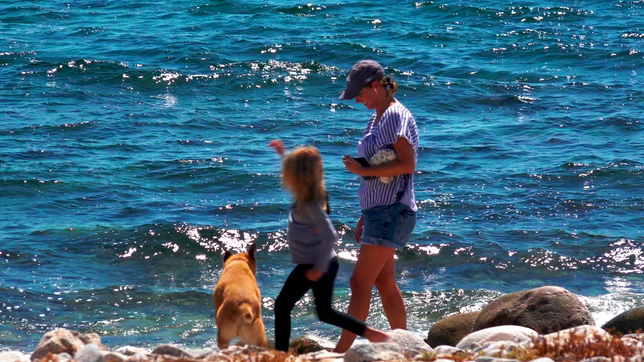 Child and dog move near a woman on a rocky shoreline with waves behind them.
