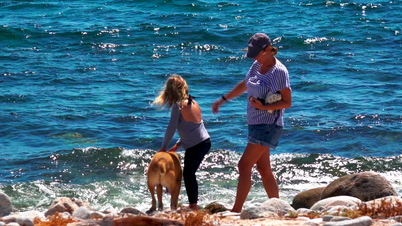 At El Sargento La Ventana Mexico, the child bends toward the tan dog near the surf as the woman continues walking along the rock-strewn shore.