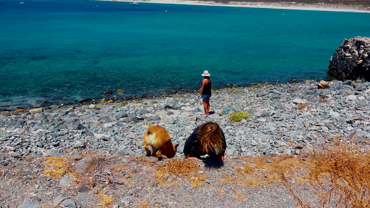 At El Sargento La Ventana Mexico, two women and a light brown dog occupy a rocky slope above clear blue ocean, with one woman standing near the water and another crouched in the foreground.