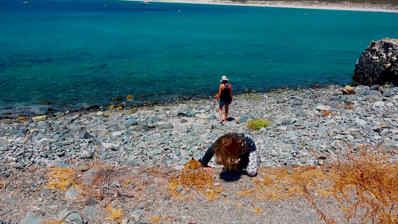 Woman in white hat stands by the water while another woman bends near a dog.