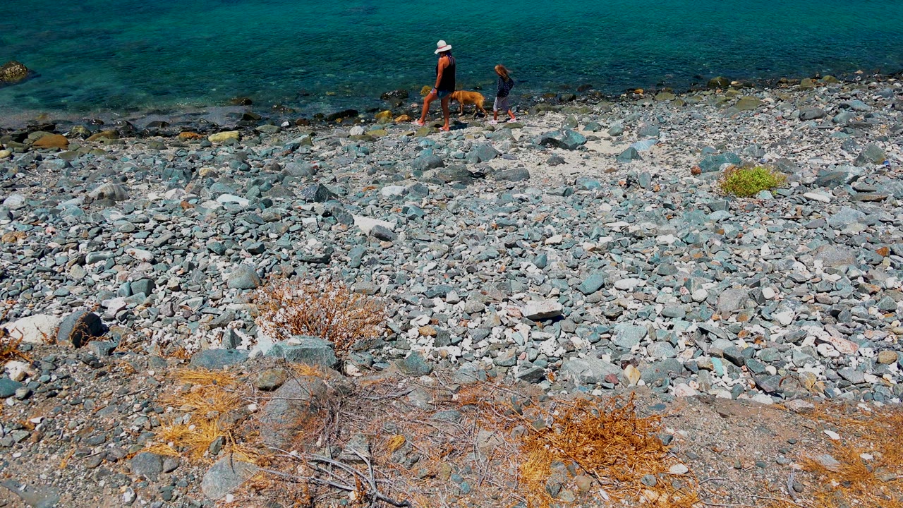 Adult, child, and dog walking along pebbles near clear water.