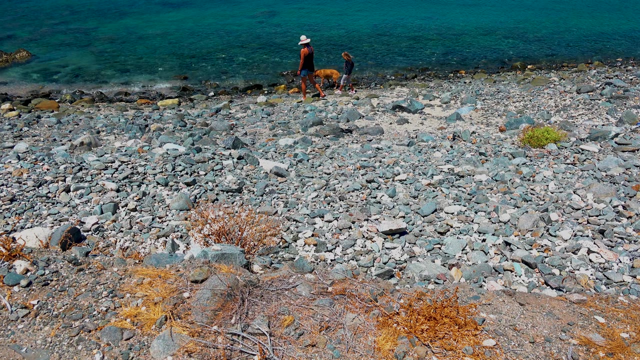 At 0:02 in El Sargento La Ventana Mexico, the adult and child stand close to the brown dog near the waterline, with gray stones and dry brush below.