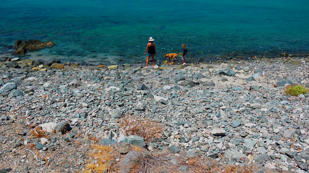 Adult, child, and dog pause near the waterline on a gray stone beach.