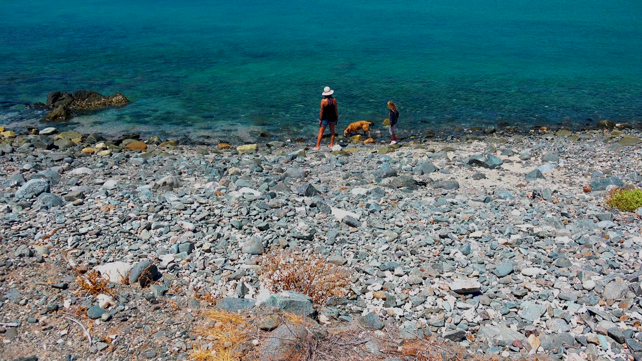 At 0:02 in El Sargento La Ventana Mexico, the adult, child, and tan dog are farther right along the gray stone shore, with the ocean forming a wide blue background.