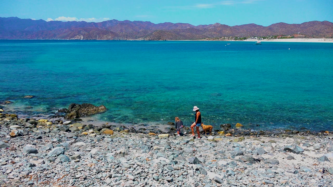Person in white cap walking a dog along a rocky shoreline