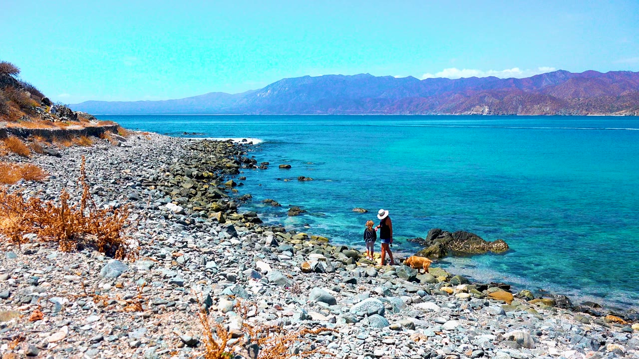 Person, smaller figure, and dog near rocks at the edge of clear ocean water.