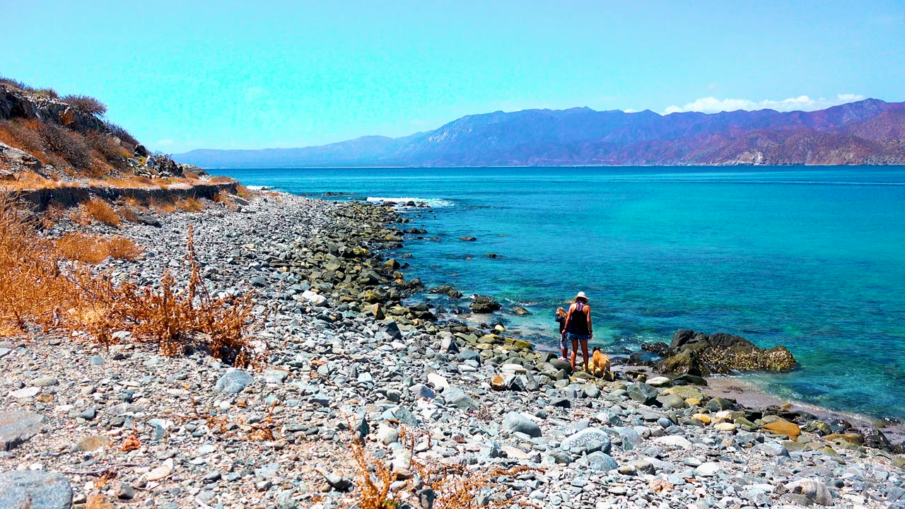 At El Sargento La Ventana Mexico, an adult stands with a small dog near rocks at the waterline while a pebbly beach, dry grass, turquoise sea, and distant mountains fill the frame.