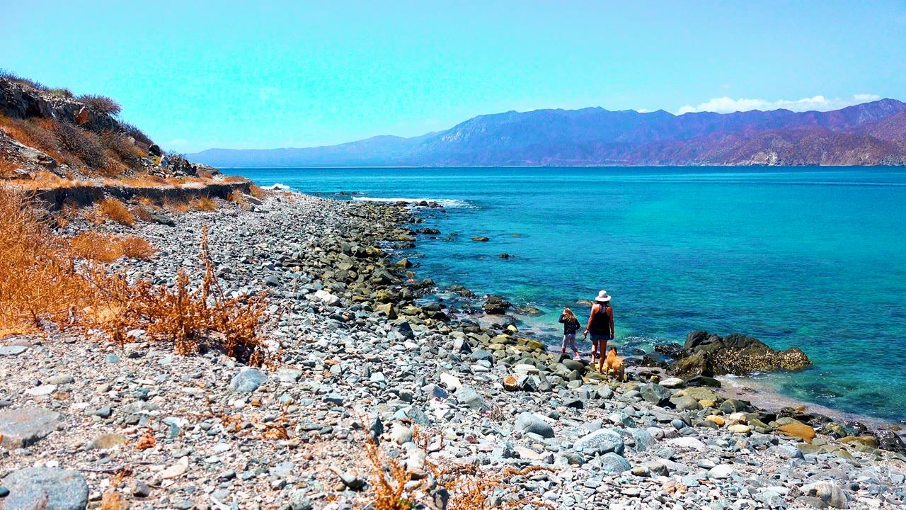 Adult, child, and small dog near the water on a pebbly shore.