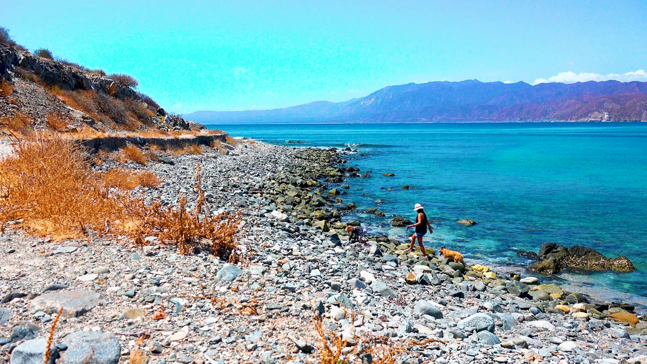 People and a dog move along rocks at the edge of turquoise water.