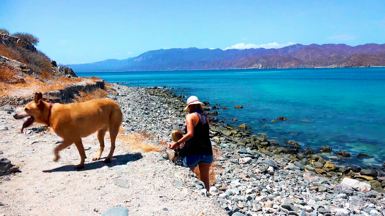 In El Sargento La Ventana Mexico, a woman in a sun hat walks on a rocky shore while a tan dog crosses the foreground near clear blue water and distant mountains.