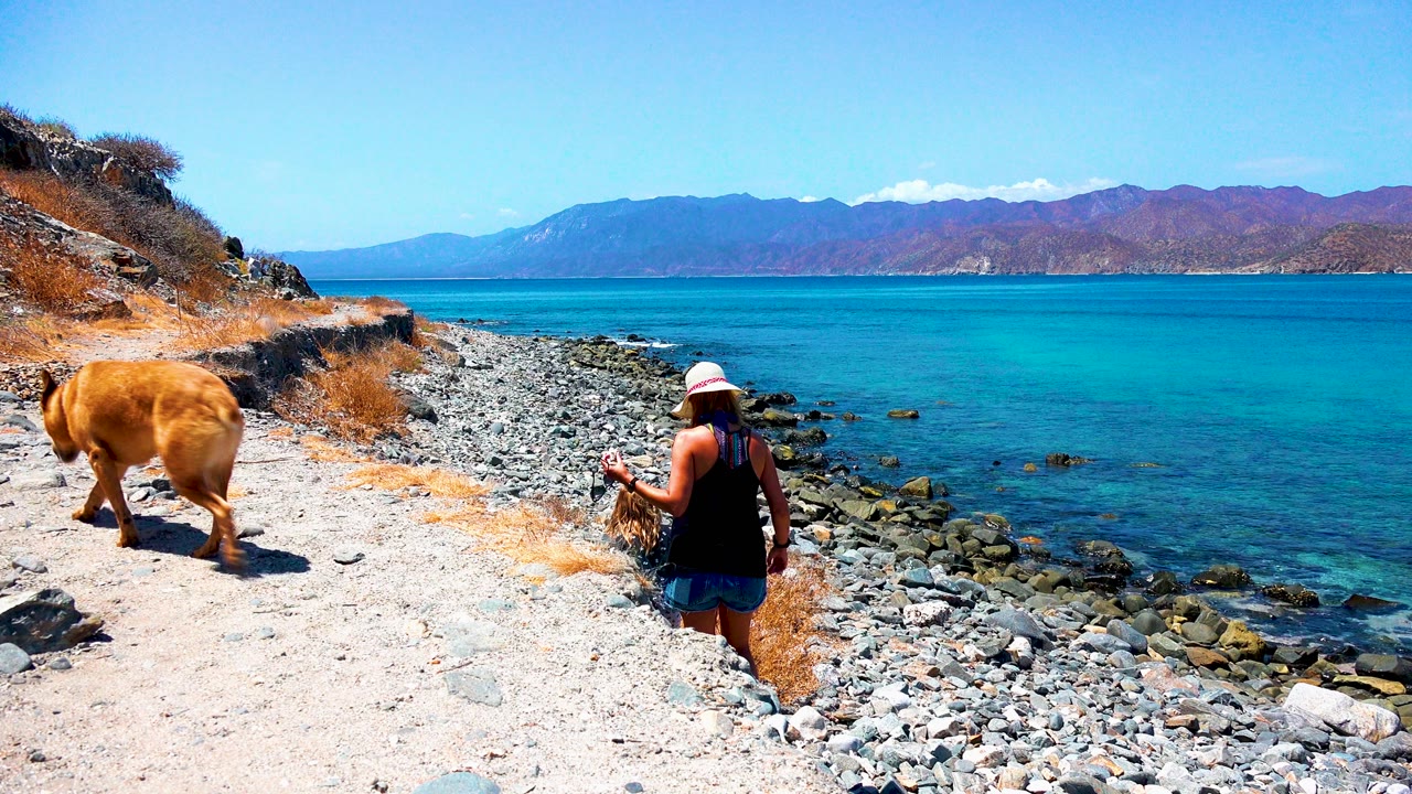 Tan dog and woman walking along a rocky ocean path.