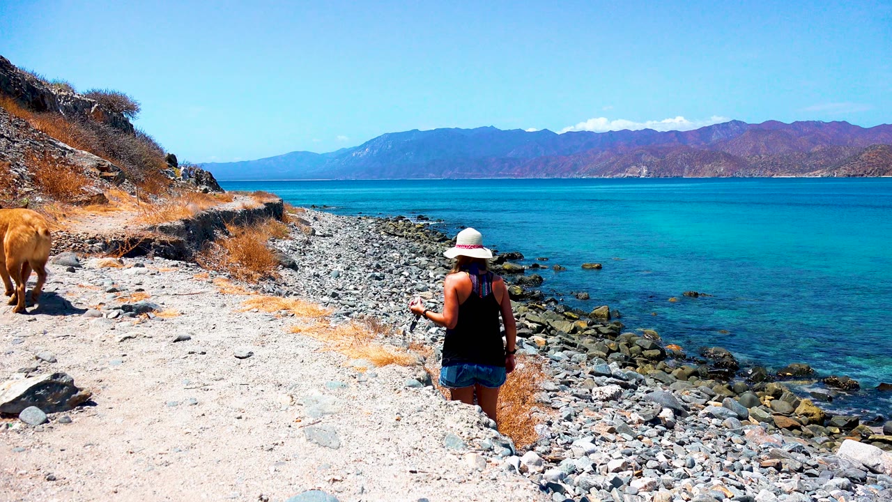 In El Sargento La Ventana Mexico, the woman faces down the rocky shoreline while the dog stands near dry grass at left and bright blue ocean fills the right side of the frame.