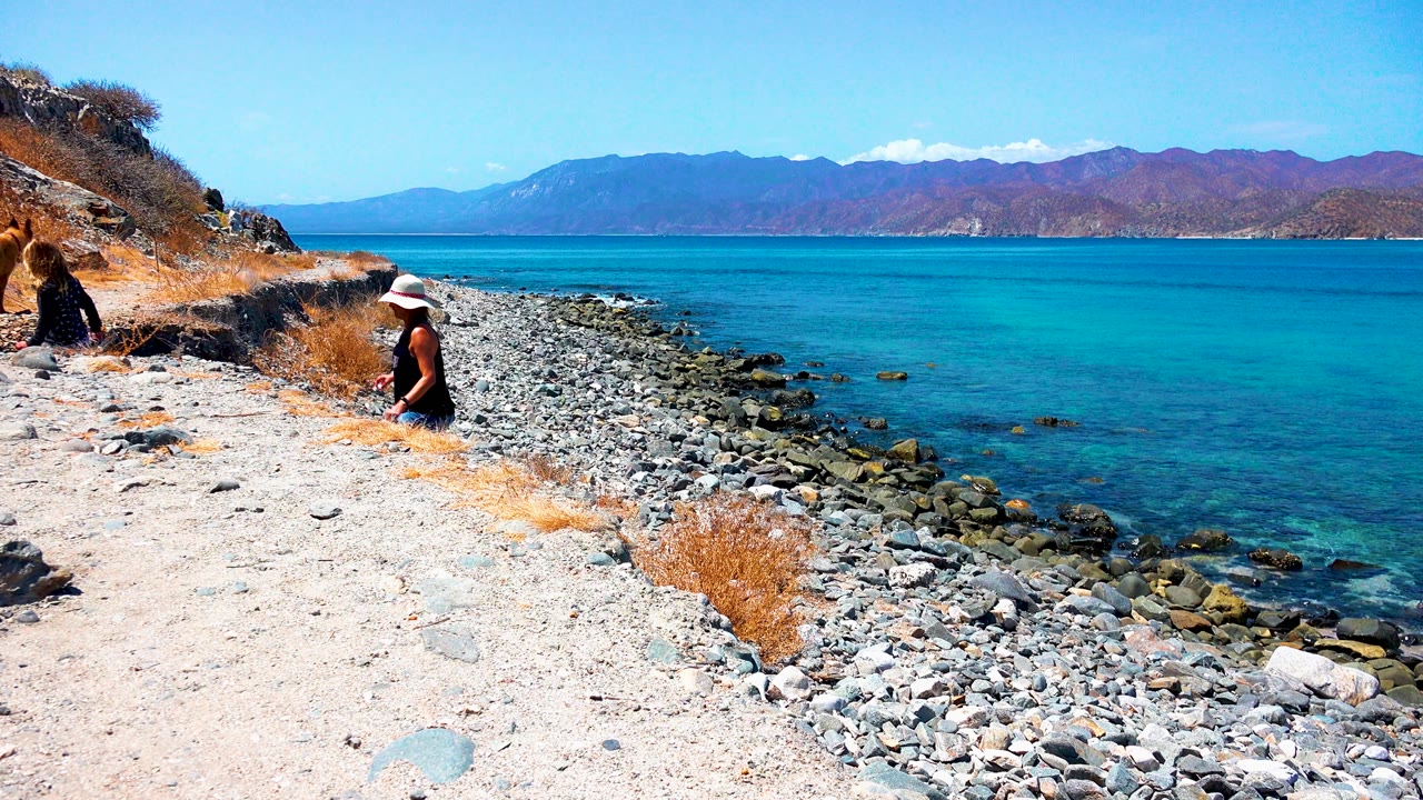 At El Sargento La Ventana, Mexico, another person and a brown dog enter along the left path while the hat-wearing person remains near the rocky shoreline.