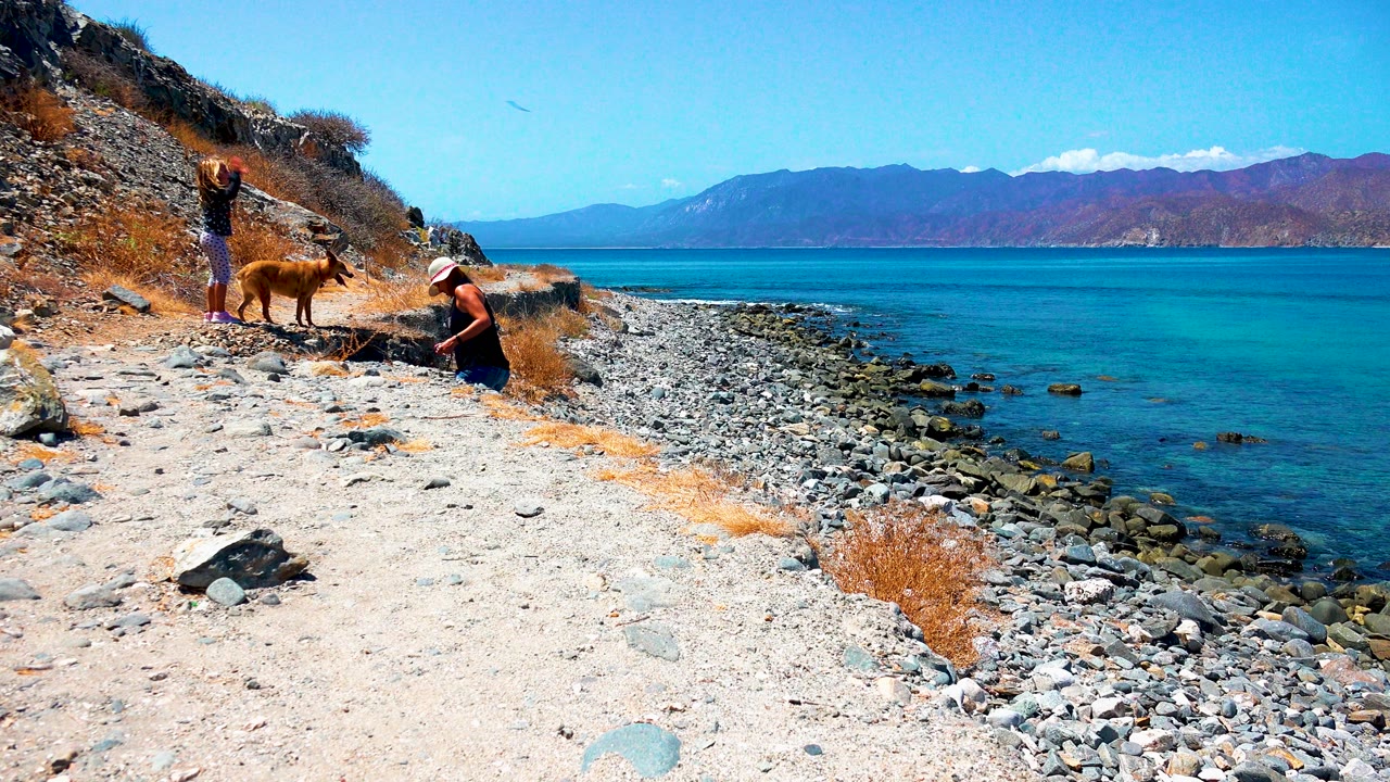 Standing person, seated person, and dog on a dry rocky beach.