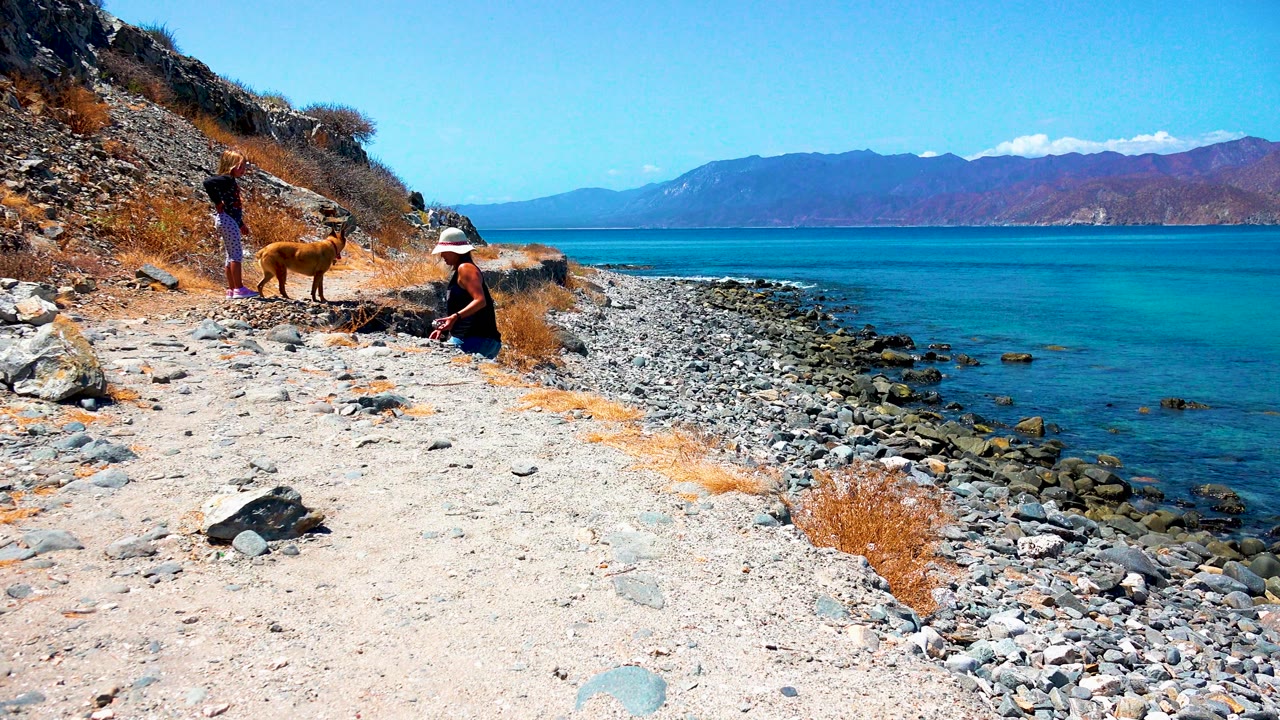 At 0:02 in El Sargento La Ventana Mexico, the standing person raises an arm near the dog as the seated person stays lower on the rocky shore, with turquoise water and mountains beyond.