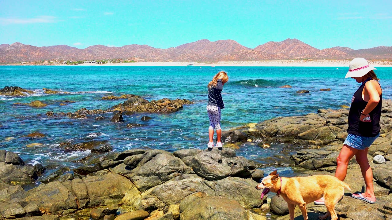 Child near rocks with adult and dog by blue water.