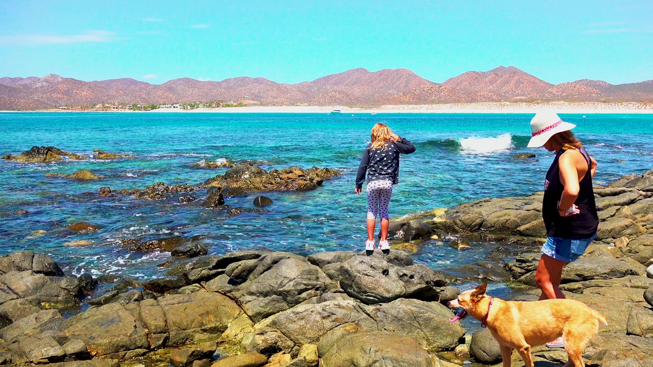 At El Sargento La Ventana Mexico, the child faces the water while the adult and tan dog advance along the rocks, with a small breaking wave behind them.