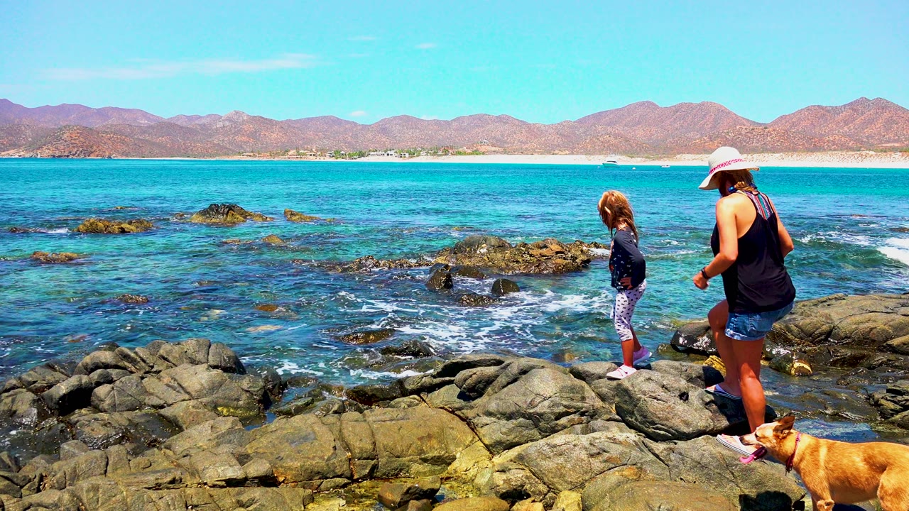 Child and woman standing on rocks while dog remains near foreground