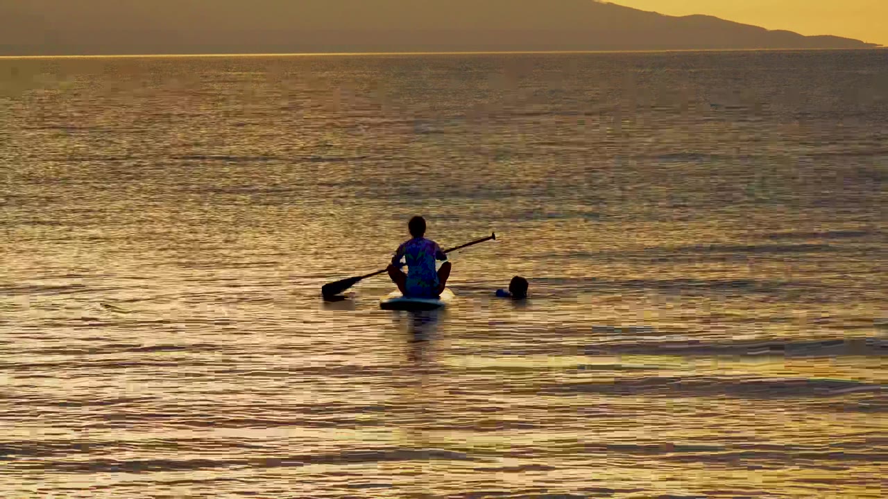 At El Sargento La Ventana Mexico, a silhouetted paddleboarder uses a paddle while a swimmer's head appears nearby in gold sunset water.