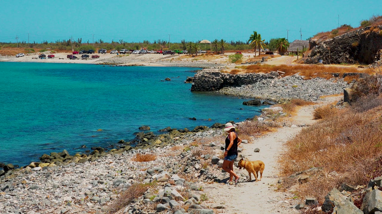 In El Sargento La Ventana Mexico, a person in a sun hat walks a tan dog down a pale rocky path with turquoise water and a low beach road behind them.